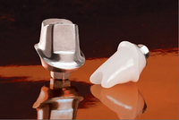 //iirorwxhloqjli5p.ldycdn.com/cloud/lkBpkKloljSRrlnljjjljo/biomet-3i-encode-healing-abutment.jpg