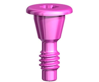 //iirorwxhloqjli5p.ldycdn.com/cloud/lkBpkKloljSRrlqkqppojp/straumann-abutment-screw.jpg