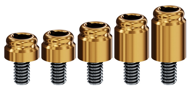protective cylinder on dental abutment